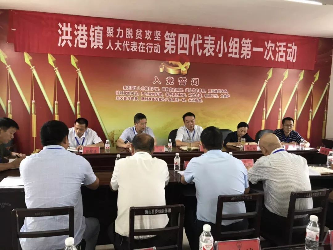 王槐生赴通山县洪港镇参加"聚力脱贫攻坚,人大代表在行动"活动